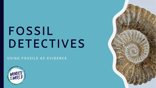 What Can Fossils Tell Us PowerPoint KS2 | Teaching Resources