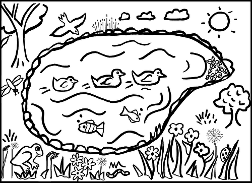Pond Colouring Sheet