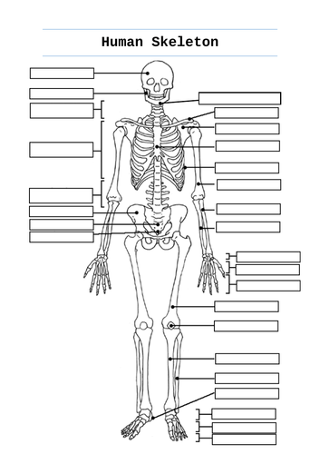 doc, 702.5 KB