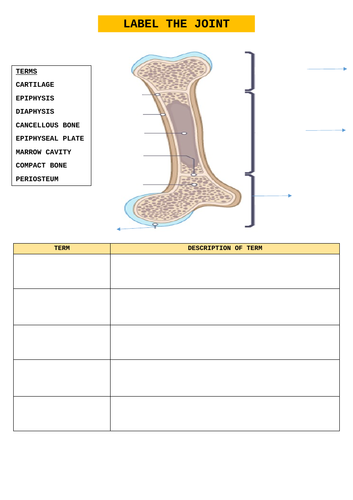 docx, 119.92 KB