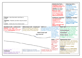 revision blood anatomy tactile physiology btec lesson unit level social care health