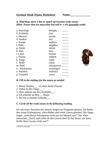 German Weak Nouns N Nouns Worksheet Schwache Nomen Teaching Resources