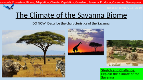 Geography Lesson- Climate of the Savanna Ecosystem | Teaching Resources