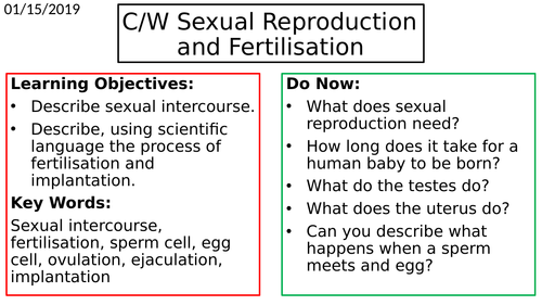 Fertilisation And Sexual Reproduction Teaching Resources 7015