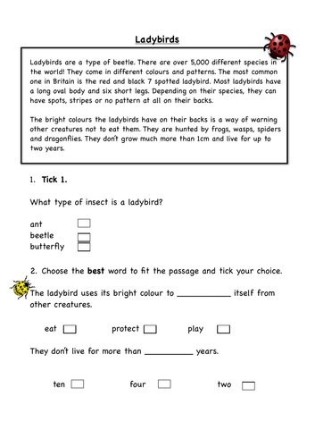 Comprehension - Ladybirds | Teaching Resources