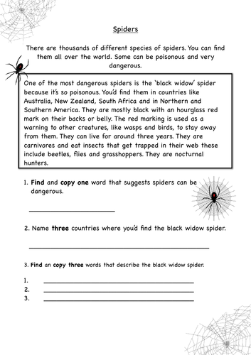 Comprehension - Spiders | Teaching Resources