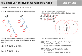 Find LCM and HCF worksheet - Visual and step by step | Teaching Resources