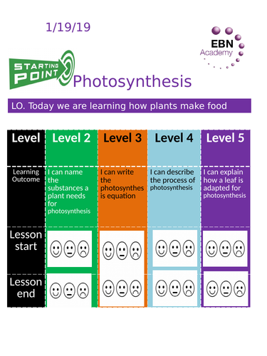 9-1 Edexcel paper 2 Photosynthesis