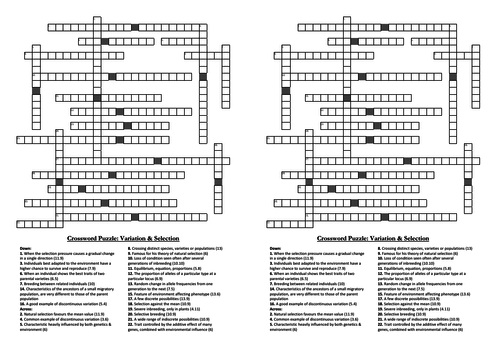 Selection & Evolution Crossword Puzzles (A-level Biology) | Teaching