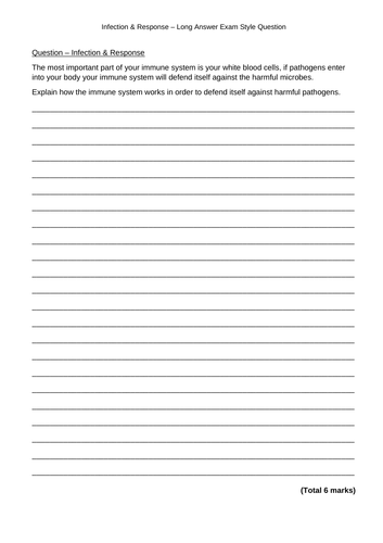 docx, 21.92 KB
