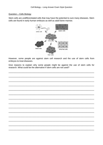 docx, 231.56 KB