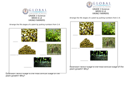 grade 3 worksheets on stages of plant living and non
