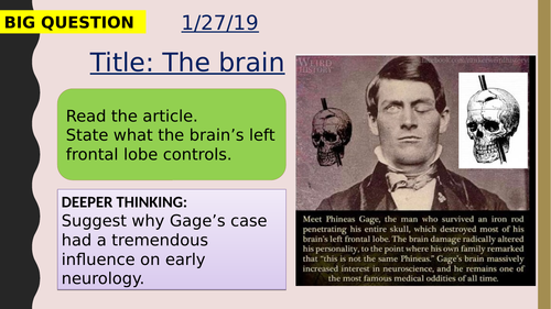 AQA new specification-The brain-B10.4