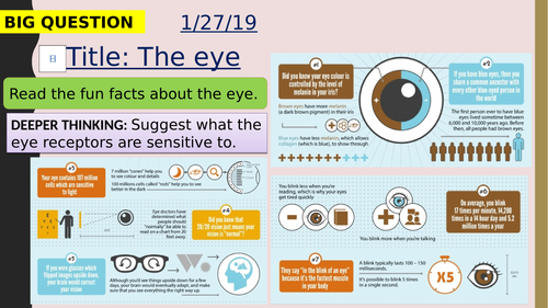 AQA new specification-The eye-B10.5