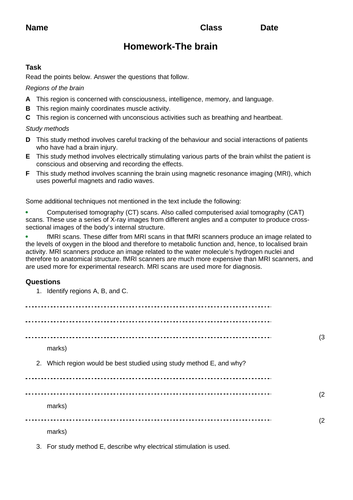 AQA new specification-B10.4-The brain homework