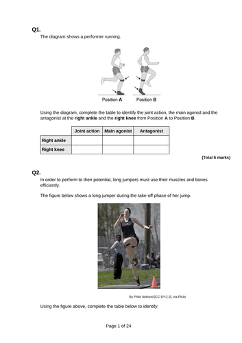 A-Level PE. Musculoskeletal System and Analysis of Movement (Chapter 1. ...