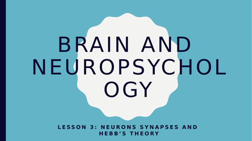 AQA GCSE Psychology (New Spec) Lesson 3/6-Neuropsyc-Neurons, Synapses and Hebb's Theory