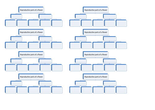 Reproduction in Plants: Parts of Flower - Grade 7 | Teaching Resources