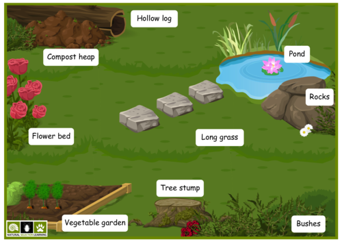 minibeasts-micro-habitats-activity-ks1-teaching-resources