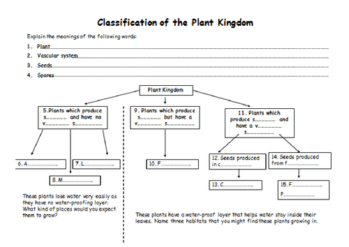 classification of plants and animals teaching resources