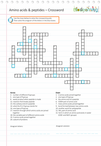 Amino Acids Crossword KS5 Teaching Resources