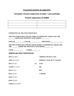 present perfect subjunctive organizer | Teaching Resources