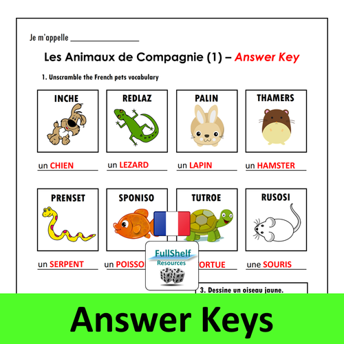 French Pets Worksheets Teaching Resources