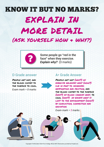 Biology A-level Model Answer Posters | Teaching Resources