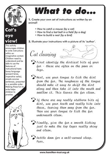 Cat’s eye view! - English Homework - UKS2