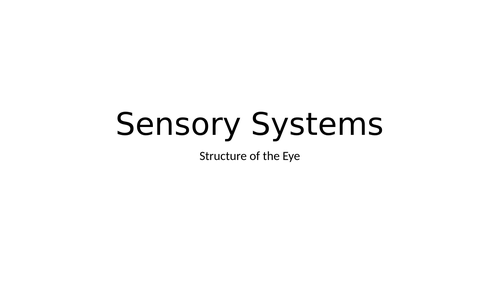 LO6: Sensory Systems, Malfunctions and Impacts on Individuals