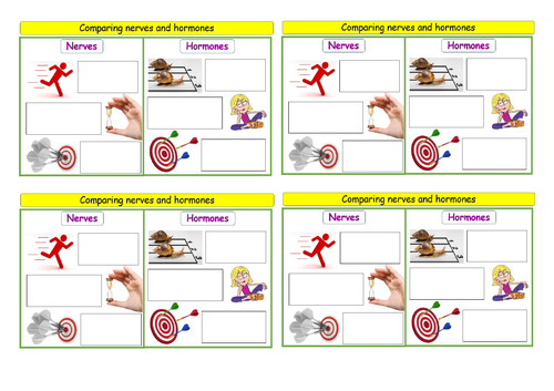 Endocrine glands, adrenaline and thyroxine powerpoint and worksheets