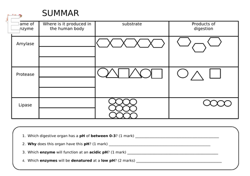 How do enzymes work? | Teaching Resources