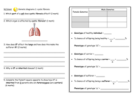 Punnet squares cystic fibrosis, polydactyl and gender | Teaching Resources