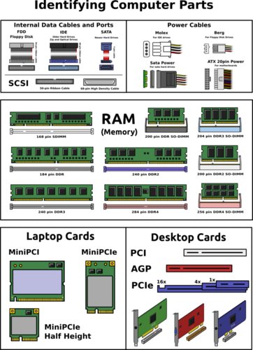 Identifying Computer parts worksheet | Teaching Resources