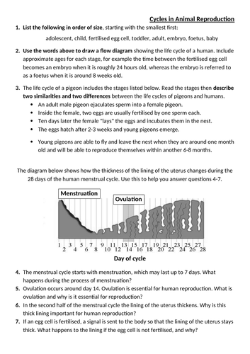 docx, 120.37 KB