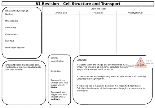 New 9-1 Triple Biology GCSE Paper 1 Revision Sheets | Teaching Resources