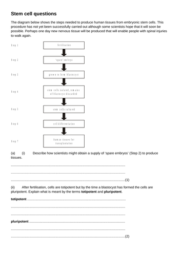 docx, 14.55 KB