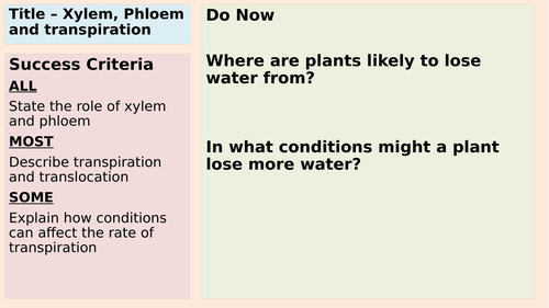 AQA GCSE Xylem, Phloem and Rate of Transpiration | Teaching Resources