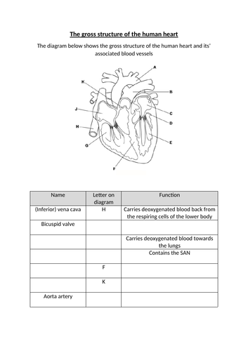 docx, 183.53 KB