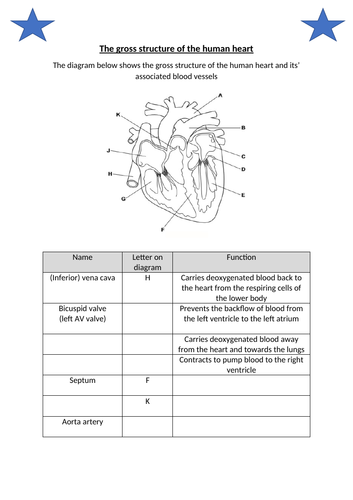 docx, 187.74 KB