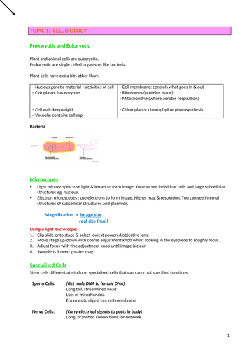 GCSE 9-1 AQA Higher Level Biology Paper 1 COMPLETED Notes : Guaranteed ...
