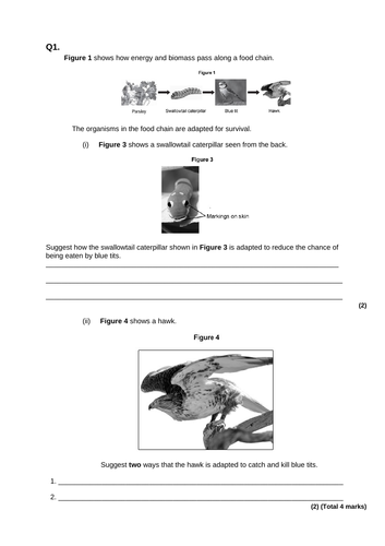 Adaptation Exam Style questions