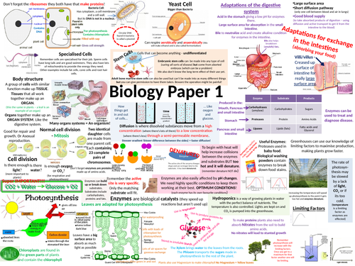 New Aqa Biology Paper 1 Revision Poster Teaching Resources 3251