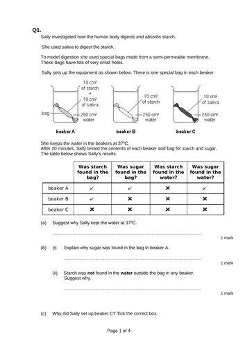 Unhealthy Diet - Full Lesson