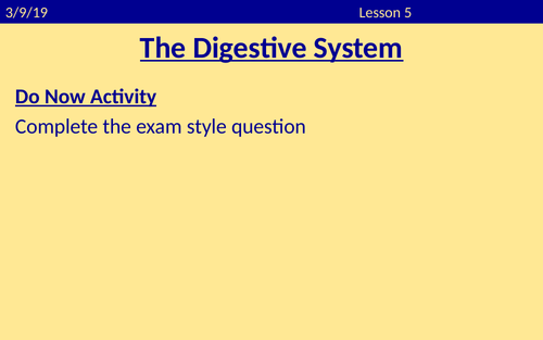 The Digestive System - Full Lesson