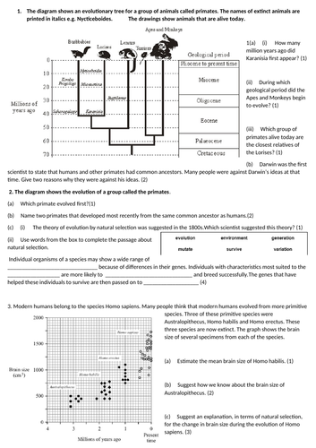 docx, 180.18 KB