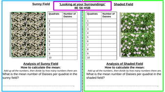 KS3 Indoor Quadrat Sampling Lesson (can be used for low set KS