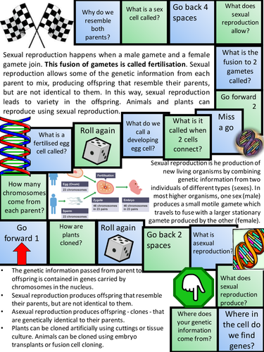 AQA KS4 GCSE Biology (Science) Meiosis Lesson & Activities | Teaching