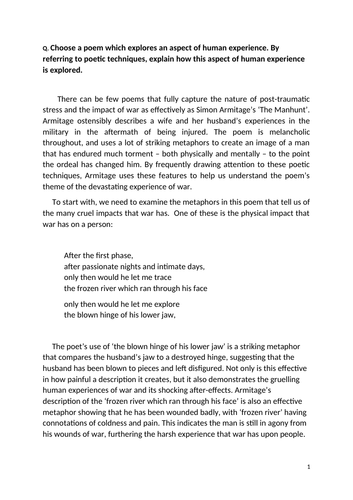 Essay on manhunt 07 image