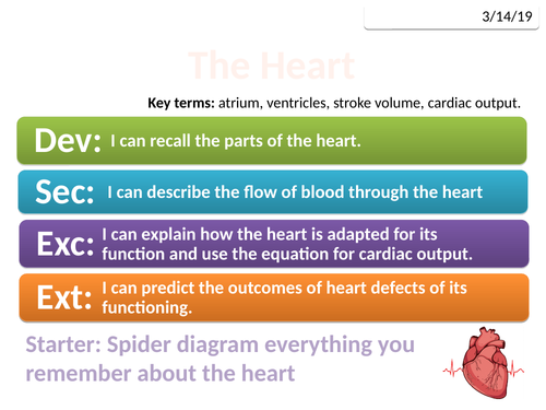 CB8c The Heart (Edexcel Combined Science)
